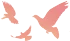 预见未来、把握未来、引领未来 配图
